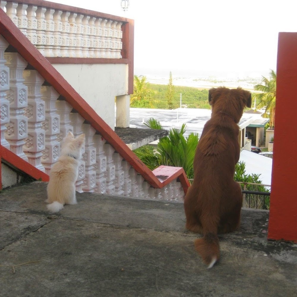 Meet your Posher, Sirivanh phomvansi